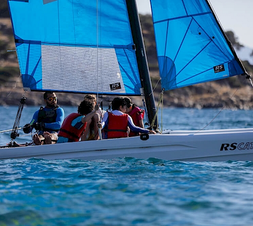 RS Cat 16